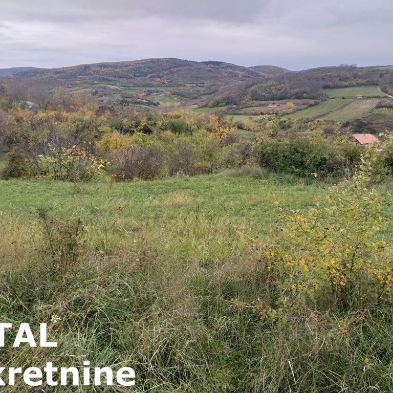 Plac Prodaja Beočin  13400 m2