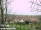 Plac Prodaja Irig  481 m2