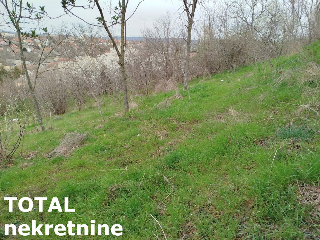 placevi-centar-7090016-tr3ze Plac na prodaju, Centar, Irig, 481m², 19.000 €