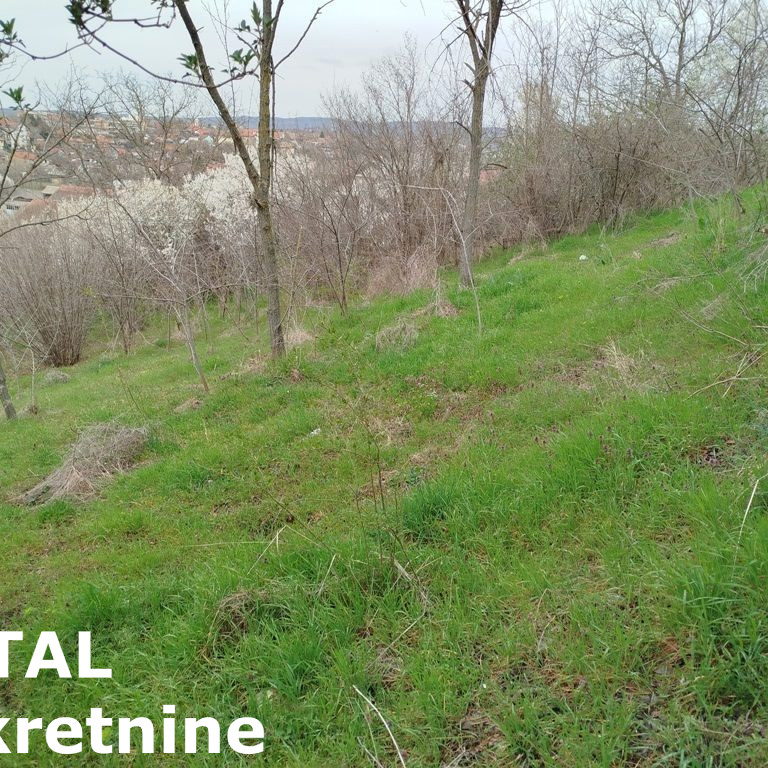Plac na prodaju, Centar, Irig, 481m², 19.000 €