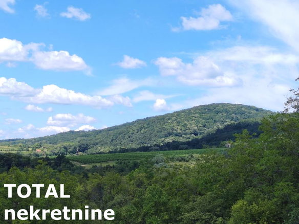 Plac Prodaja Irig  5050 m2