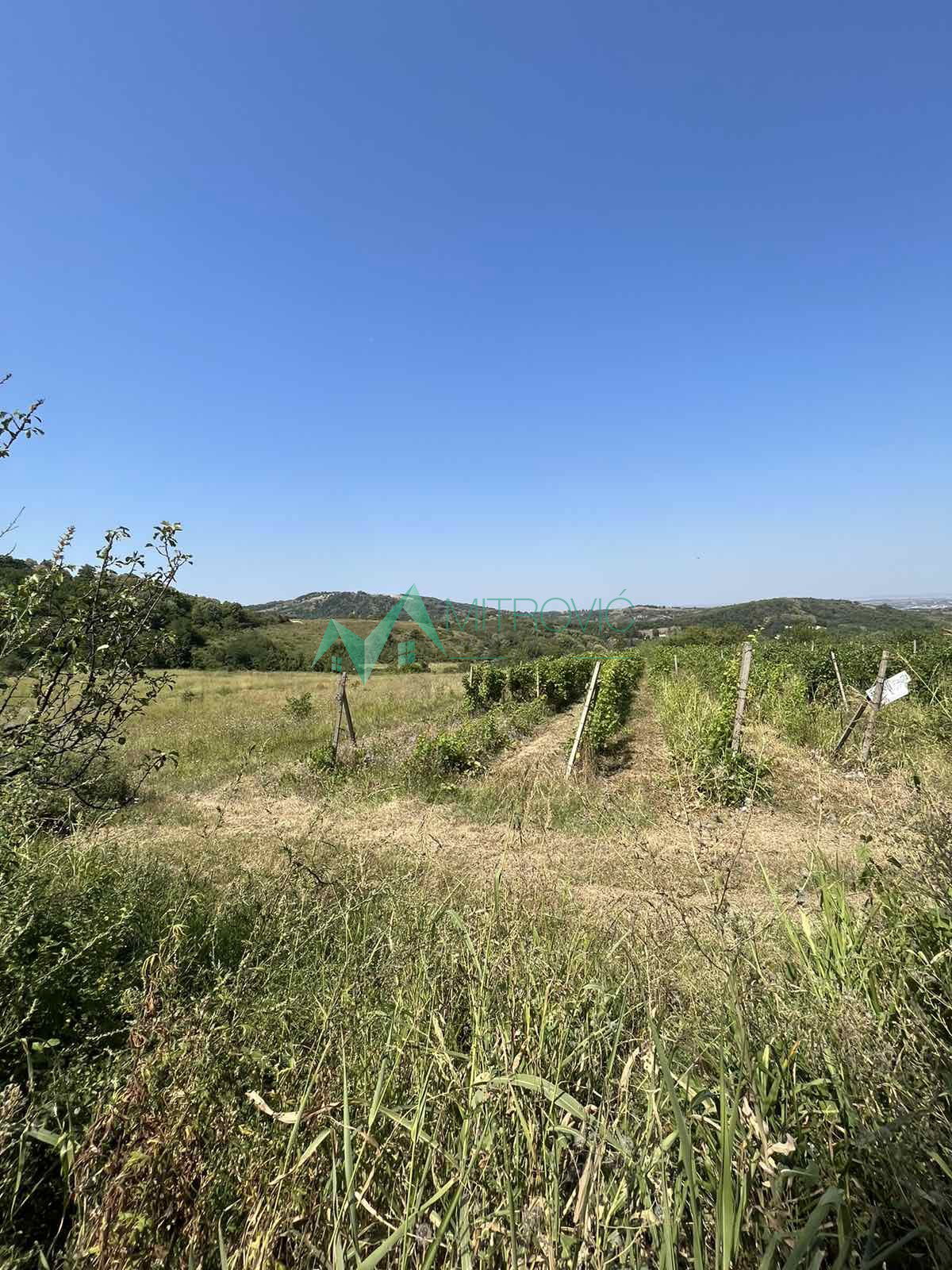Plac Prodaja Sremska Kamenica Plac Prodaja Sremska Kamenica 2964 m2