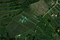 Plac Prodaja Sremska Kamenica  2964 m2