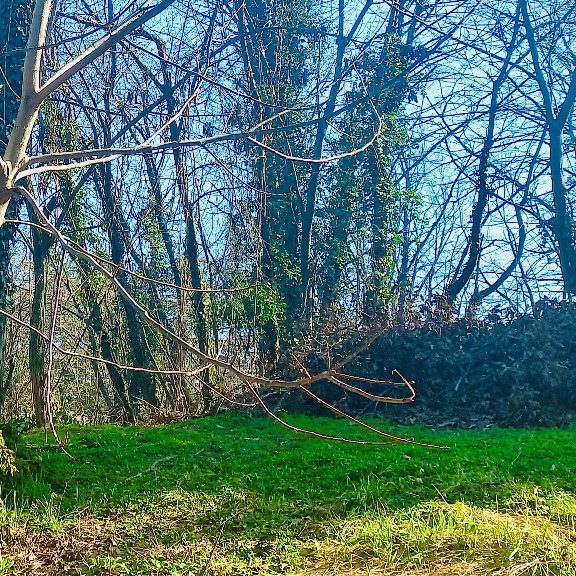 Plac Prodaja Novi Sad Popovica 2951 m2