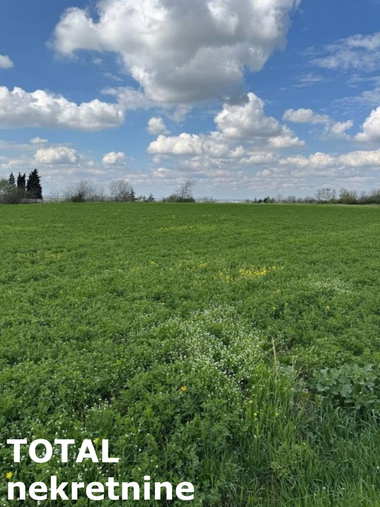 Plac Prodaja Novi Sad Plac Prodaja Novi Sad Vezirac 1438 m2