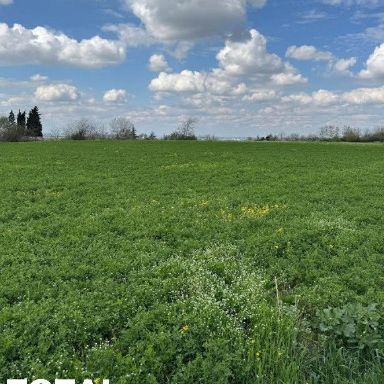 Plac Prodaja Novi Sad Vezirac 1438 m2