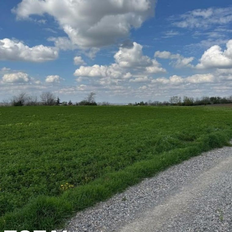 Plac Prodaja Novi Sad Vezirac 1438 m2