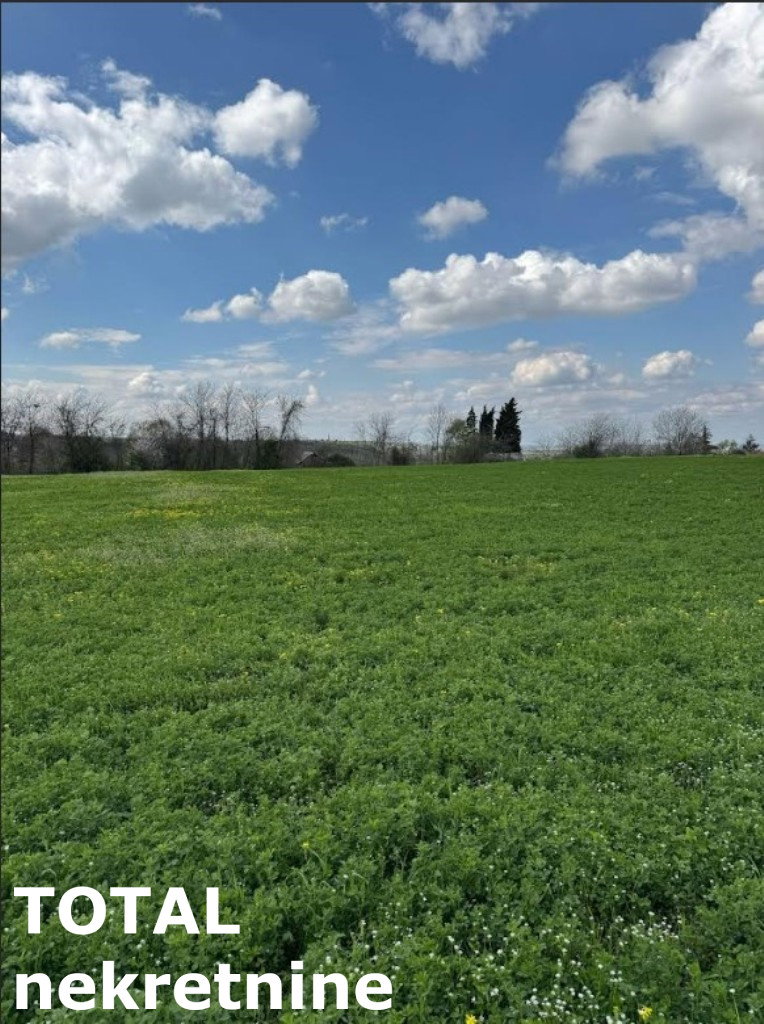 Plac Prodaja Novi Sad Plac Prodaja Novi Sad Vezirac 1438 m2