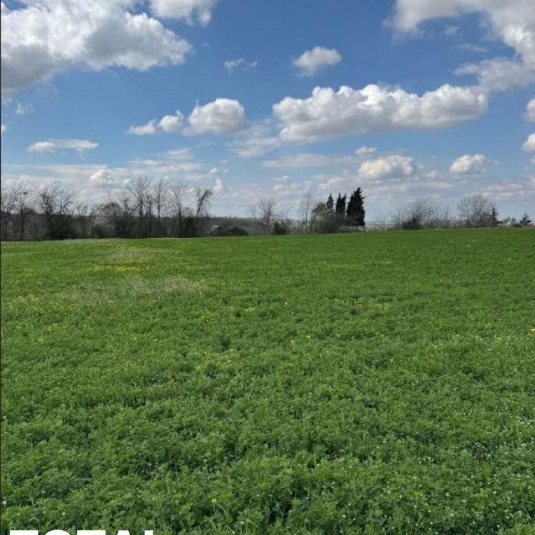 Plac Prodaja Novi Sad Vezirac 1438 m2