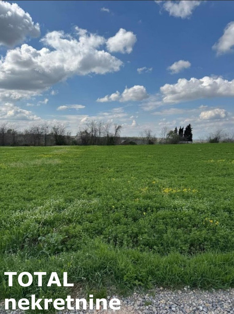 Plac Prodaja Novi Sad Plac Prodaja Novi Sad Vezirac 1438 m2