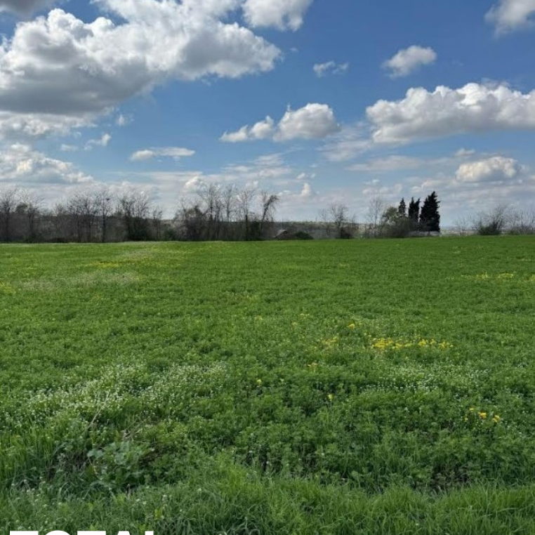 Plac Prodaja Novi Sad Vezirac 1438 m2