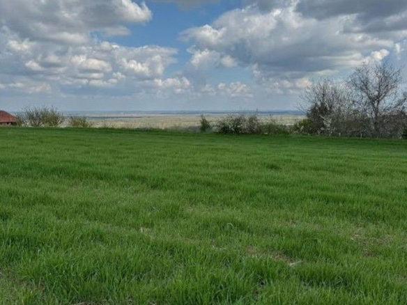 Plac Prodaja Novi Sad Vezirac 1438 m2