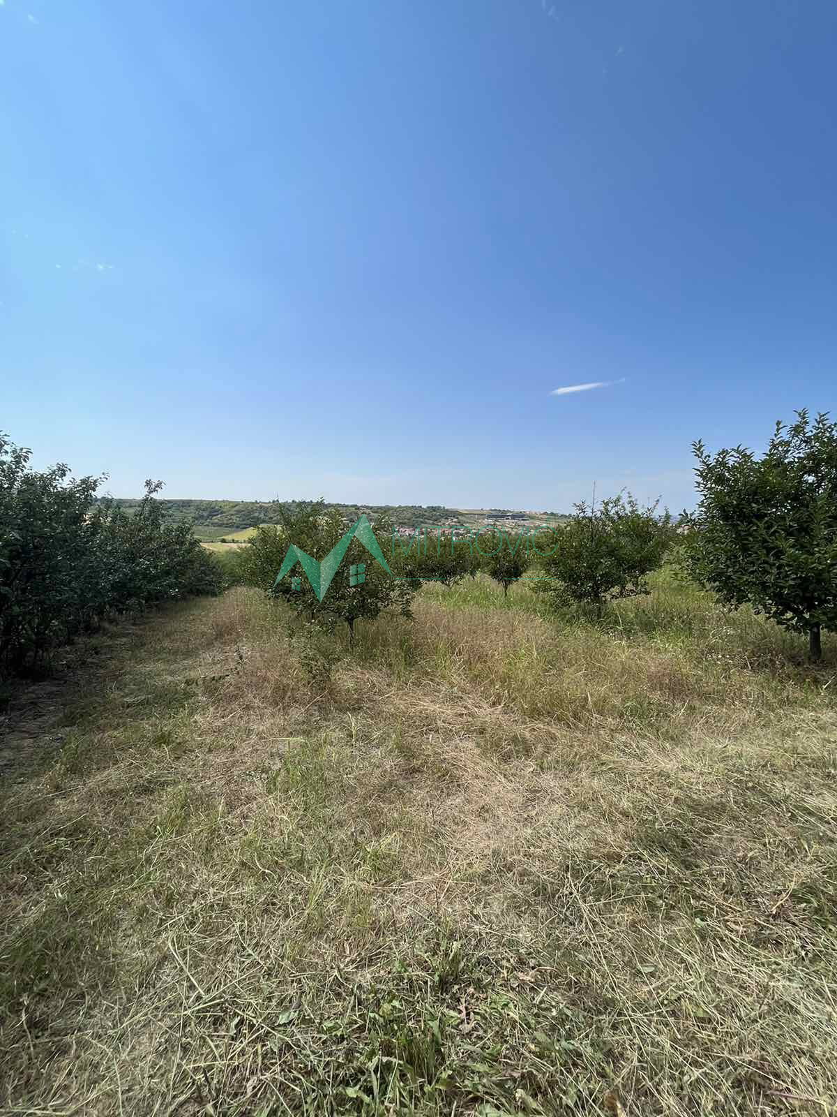 Plac Prodaja Sremski Karlovci Plac Prodaja Sremski Karlovci 3737 m2