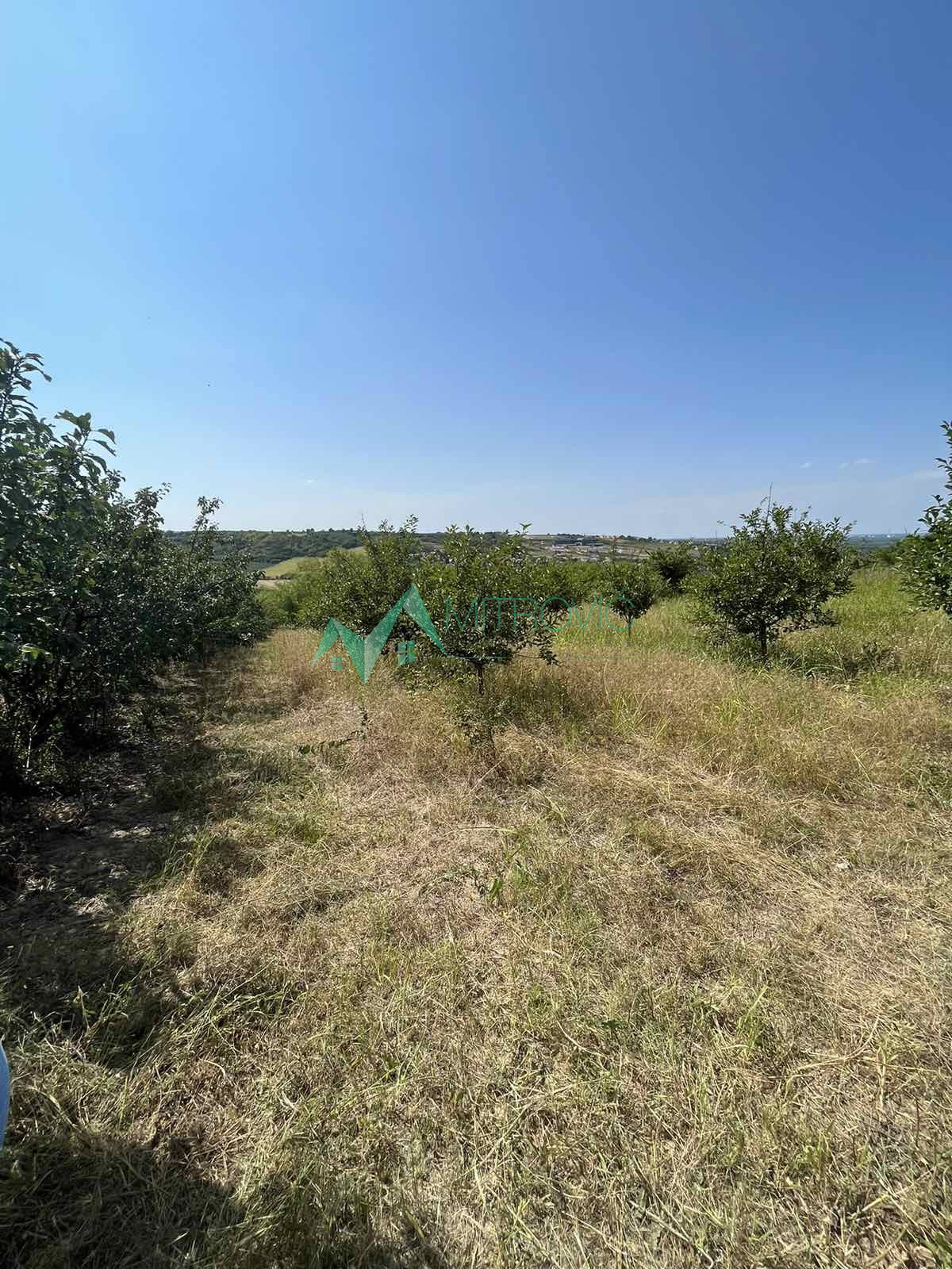Plac Prodaja Sremski Karlovci Plac Prodaja Sremski Karlovci 3737 m2