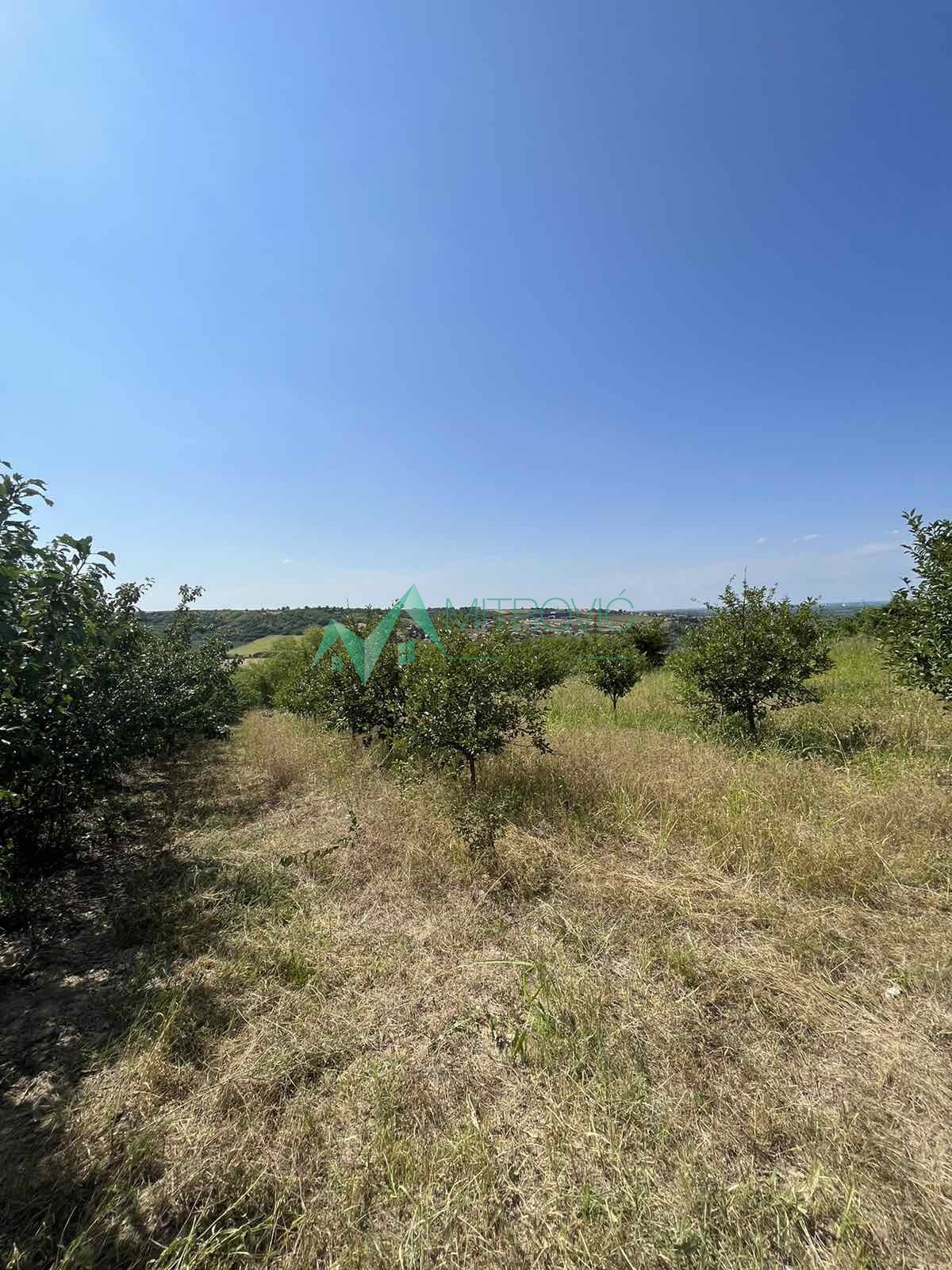 Plac Prodaja Sremski Karlovci Plac Prodaja Sremski Karlovci 3737 m2
