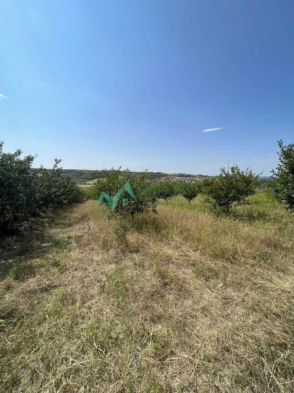 Plac Prodaja Sremski Karlovci Plac Prodaja Sremski Karlovci 3737 m2