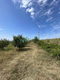 Plac Prodaja Sremski Karlovci  3737 m2