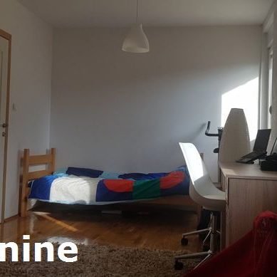 Kuća Prodaja Novi Sad  163 m2
