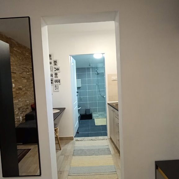 Jednosoban stan na prodaju, Cara Dušana, Novi Sad, 22m², 65.000 €