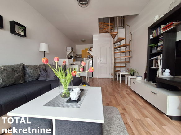 Stan Prodaja Novi Sad  50 m2