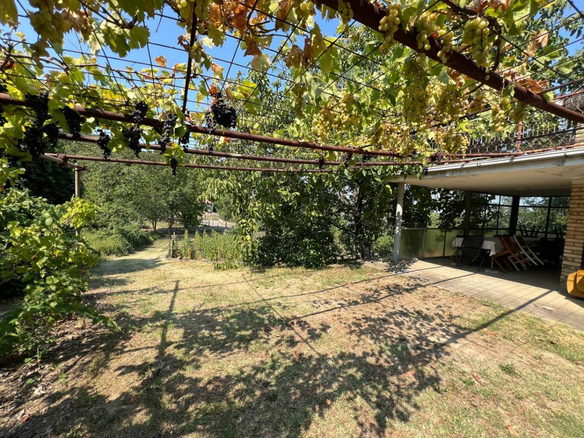 Kuća Prodaja Novi Sad  99 m2