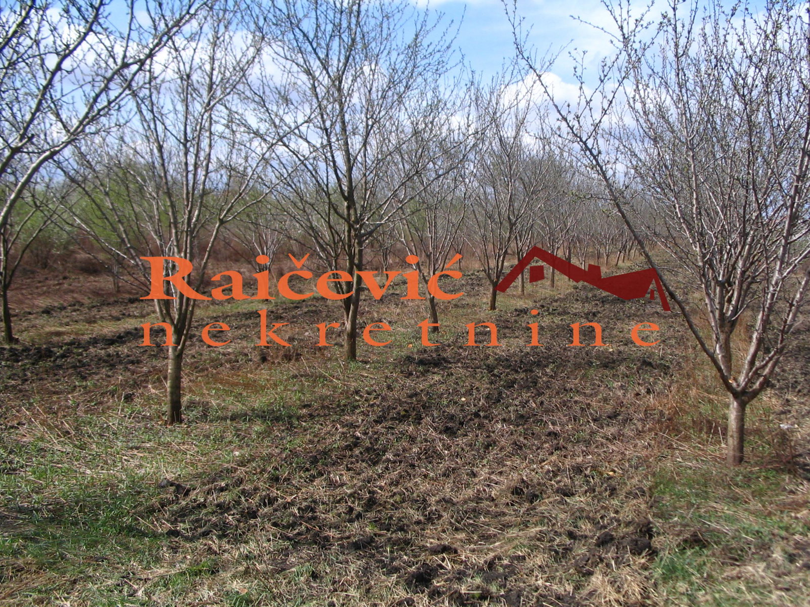 Plac Prodaja Beograd Plac Prodaja Beograd Borča 28000 m2