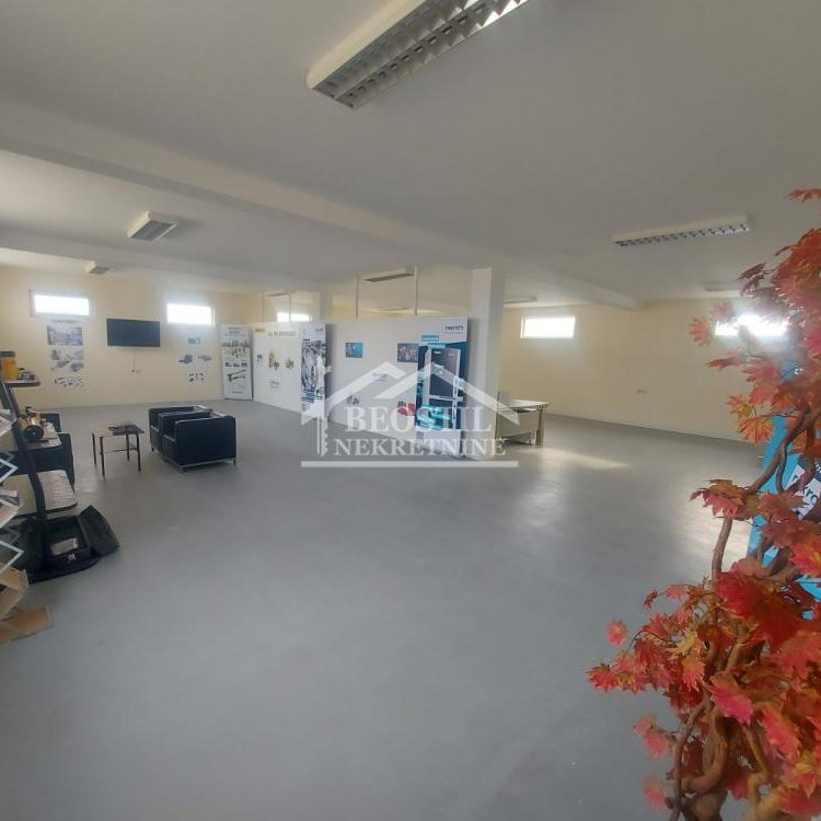 Lokal Izdavanje Smederevo  650 m2