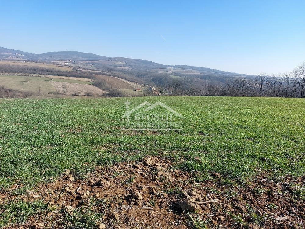 132023854_11_20241218141956 Plac na prodaju, Rogača, Beograd, 340.000 €