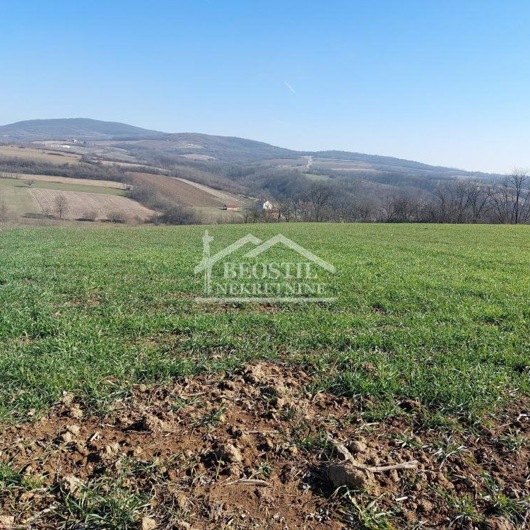 Plac na prodaju, Rogača, Beograd, 340.000 €
