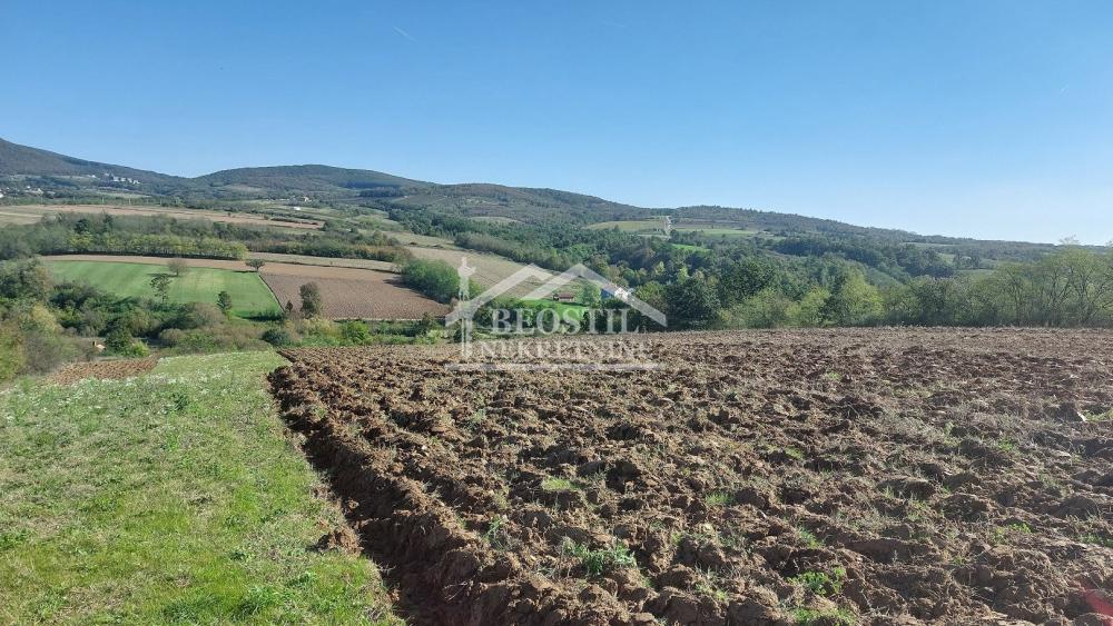 Plac Prodaja Beograd Plac Prodaja Beograd Rogača 0 m2
