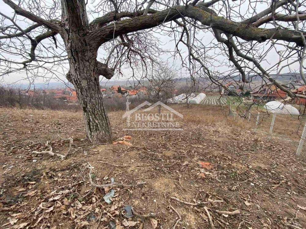 Plac Prodaja Smederevo  0 m2