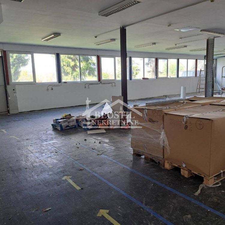 Lokal Izdavanje Beograd Batajnica 701 m2