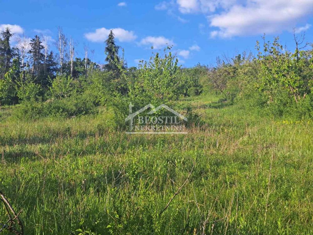 132024199_12_20250506085401 Plac na prodaju, Ritopek, Beograd, 150.000 €