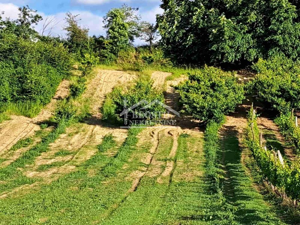 Plac Prodaja Beograd Zaklopača 0 m2