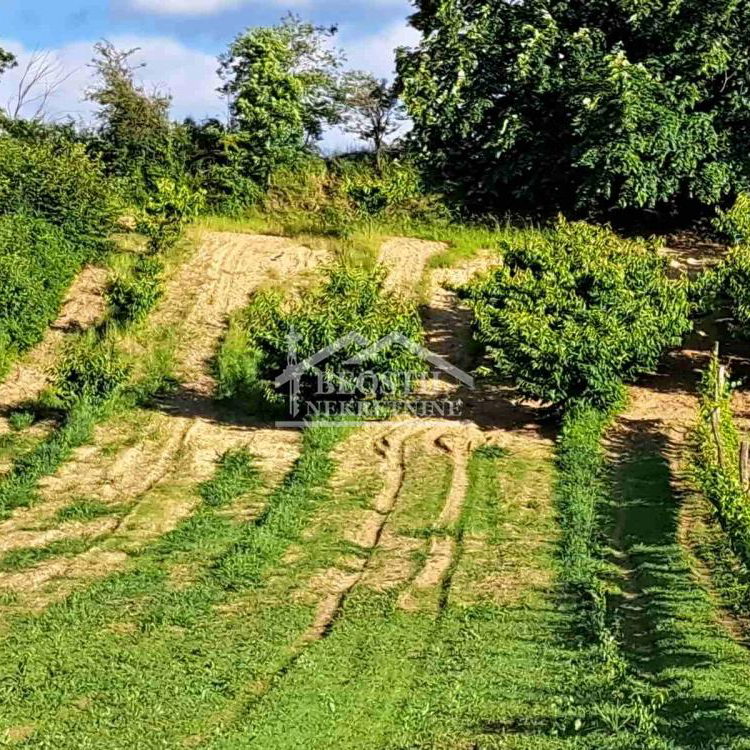 Plac Prodaja Beograd Zaklopača 0 m2