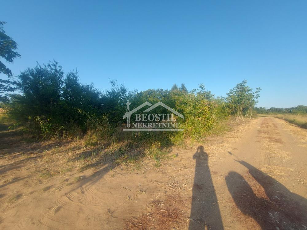 Plac Prodaja Smederevo Plac Prodaja Smederevo 0 m2
