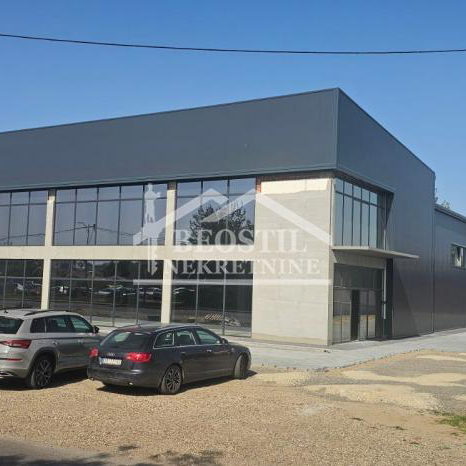 Lokal Izdavanje Smederevo  2100 m2