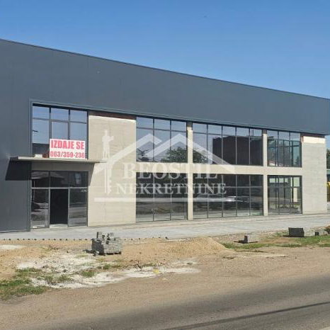 Lokal Izdavanje Smederevo  2100 m2