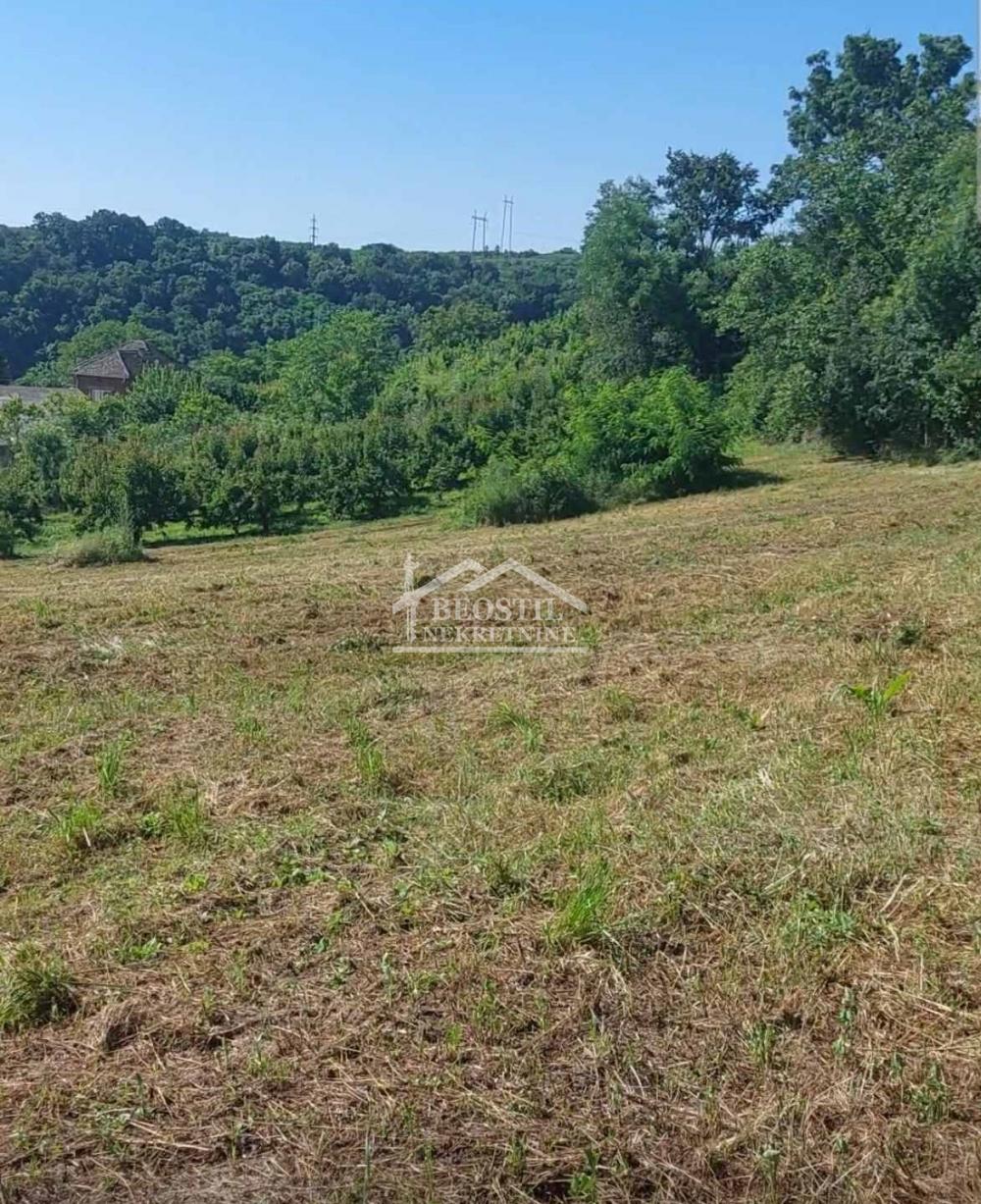 Plac Prodaja Beograd Zaklopača 0 m2