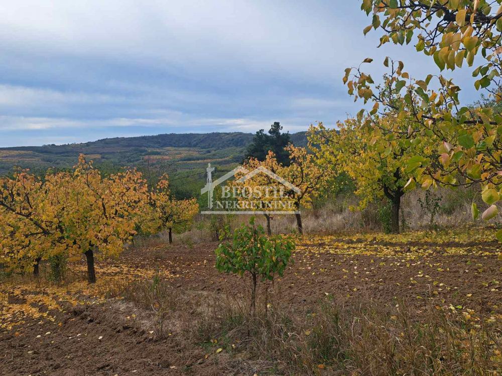 Plac Prodaja Beograd Plac Prodaja Beograd Zaklopača 0 m2