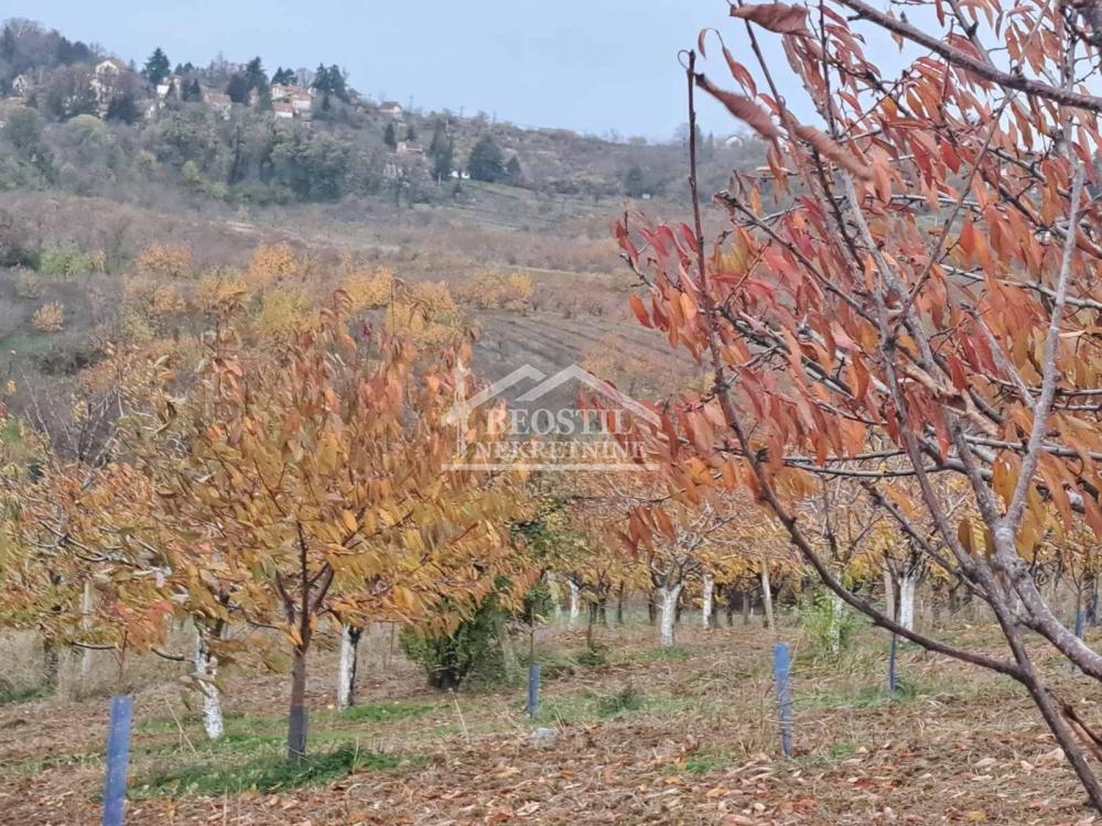 Plac Prodaja Beograd Plac Prodaja Beograd Ritopek 0 m2