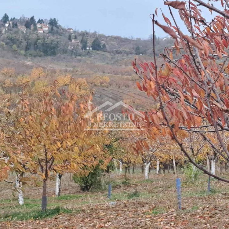 Plac Prodaja Beograd Ritopek 0 m2