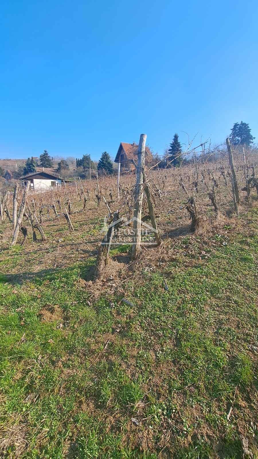 Plac Prodaja Beograd Brestovik 0 m2