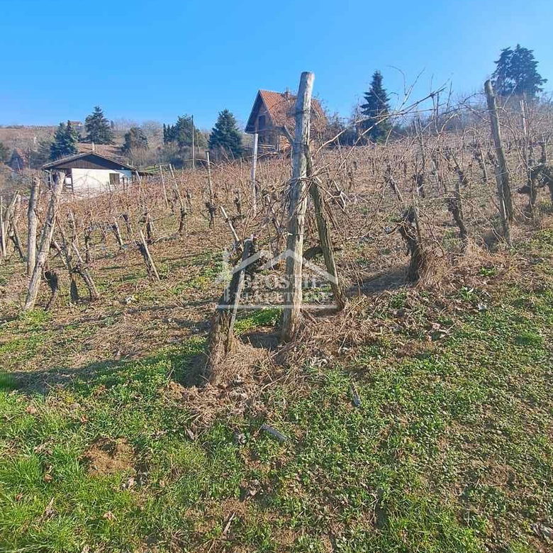 Plac Prodaja Beograd Brestovik 0 m2