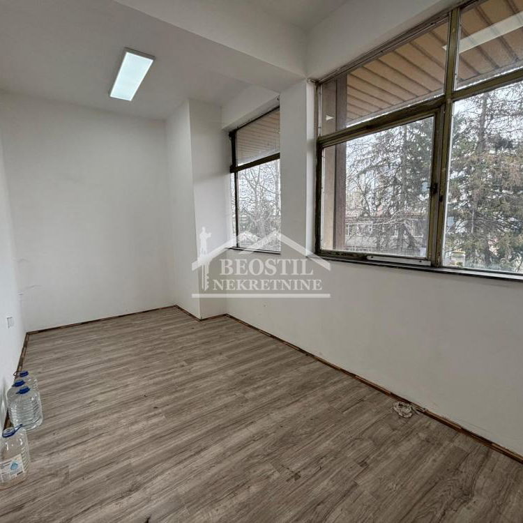 Lokal Izdavanje Beograd Kluz 259.96 m2