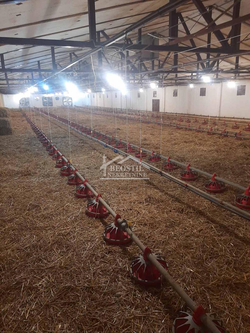 Lokal Prodaja Beograd Umčari 800 m2