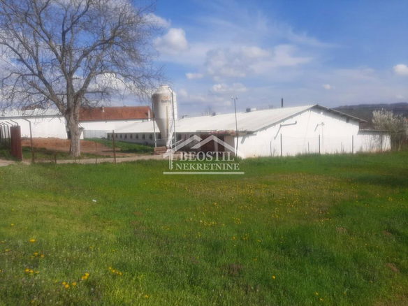 Lokal Prodaja Beograd Umčari 800 m2