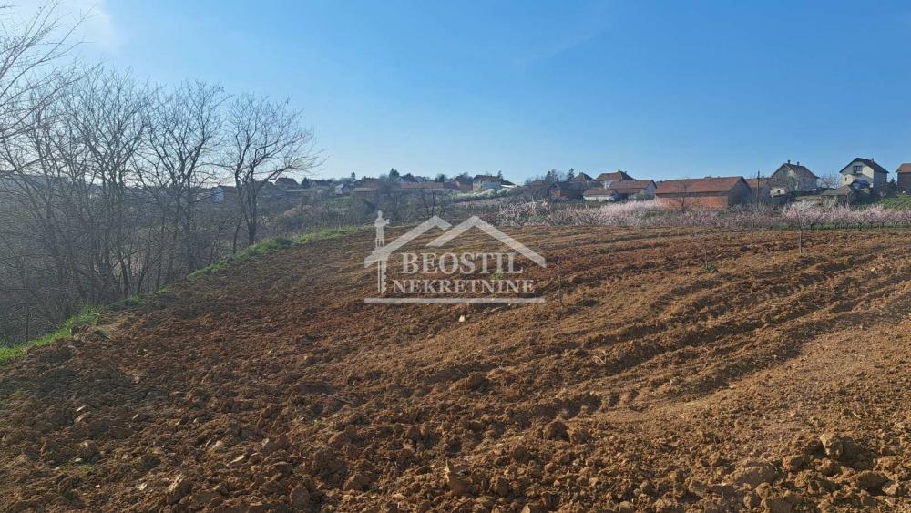 Plac Prodaja Beograd Plac Prodaja Beograd Brestovik 0 m2