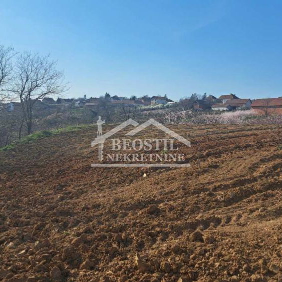 Plac Prodaja Beograd Brestovik 0 m2