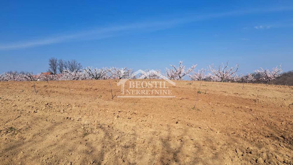 Plac Prodaja Beograd Plac Prodaja Beograd Brestovik 0 m2
